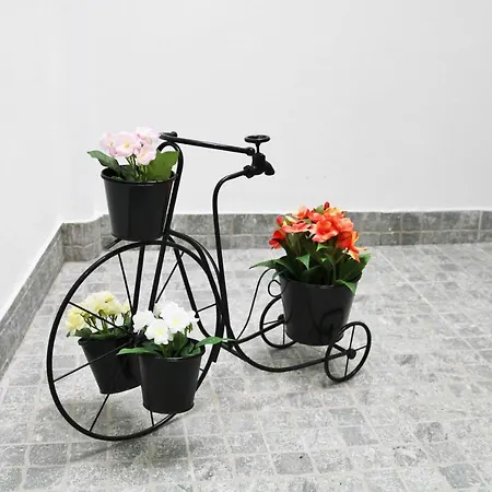 Casa Bicicletas בית נופש פניש